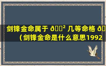 剑锋金命属于 🌲 几等命格 🐼 （剑锋金命是什么意思1992年）